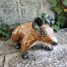 Load image into Gallery viewer, Fenton the Fancy Rat