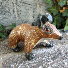 Load image into Gallery viewer, Fenton the Fancy Rat