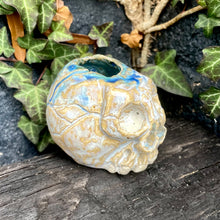 Load image into Gallery viewer, SkullSplitter Open-Topped Decorative Skulls in Nordic Glacier or Copper Patina