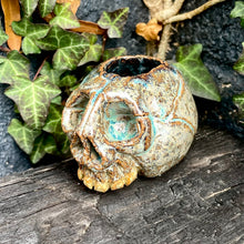 Load image into Gallery viewer, SkullSplitter Open-Topped Decorative Skulls in Nordic Glacier or Copper Patina