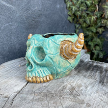 Load image into Gallery viewer, Skullcrusher Planter in Entombed Turquoise