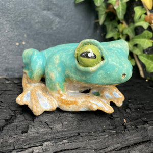 Friendly Frog in Matte Turquoise or Pink Sand