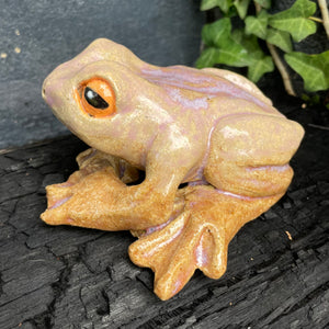 Friendly Frog in Matte Turquoise or Pink Sand