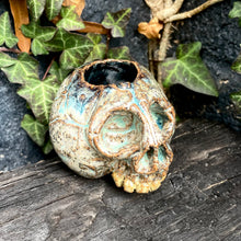 Load image into Gallery viewer, SkullSplitter Open-Topped Decorative Skulls in Nordic Glacier or Copper Patina
