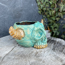 Load image into Gallery viewer, Skullcrusher Planter in Entombed Turquoise
