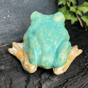 Friendly Frog in Matte Turquoise or Pink Sand