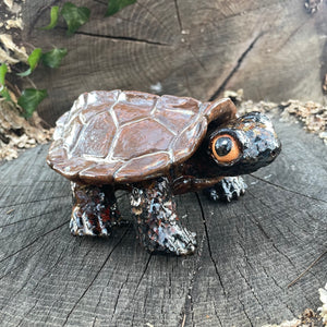 Box Turtle Keepsake Keeper