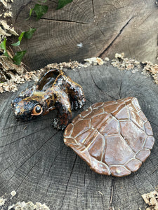 Box Turtle Keepsake Keeper