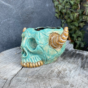 Skullcrusher Planter in Entombed Turquoise