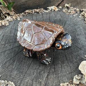 Box Turtle Keepsake Keeper