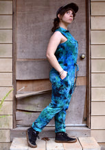 Load image into Gallery viewer, Earthy Blues Sleeveless Jumpsuit Size Small
